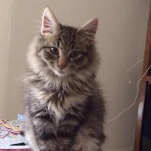 Meet your Posher, Patricia